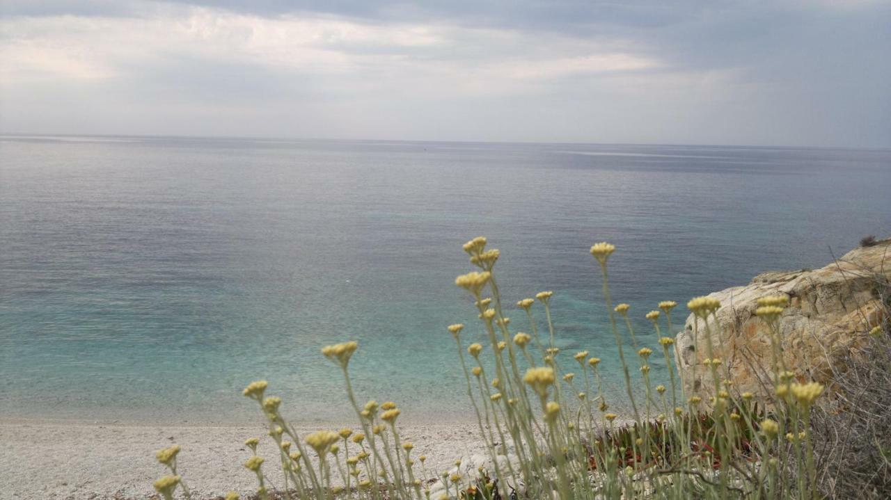 Appartement Sansone à Portoferraio Extérieur photo